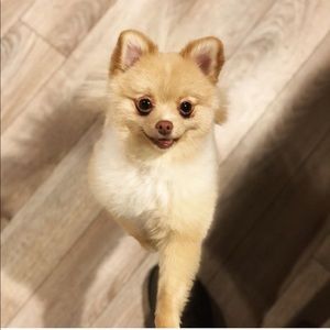 Meet your Posher, Julie